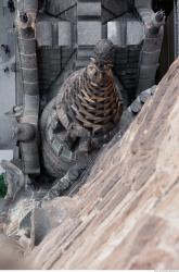 Photo Textures of Sagrada Familia